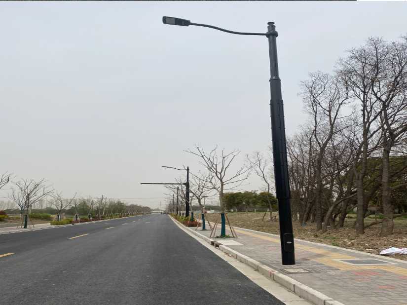 荔浦市上海综合杆 太阳能路灯工程